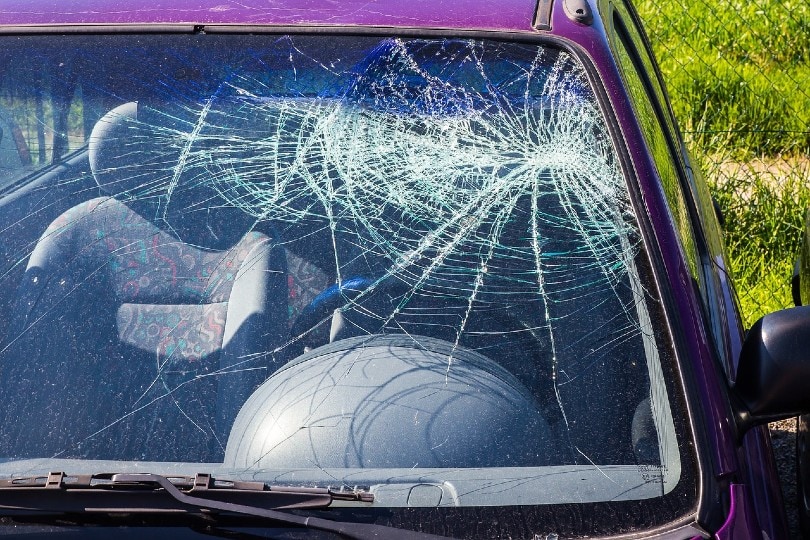 How Much Does It Cost to Fix a Cracked Windshield? 2024 Chip Repair