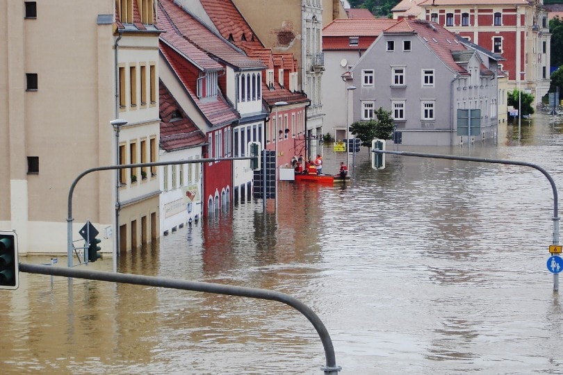 10 Facts About Floods Statistics & Data in 2024 House Grail