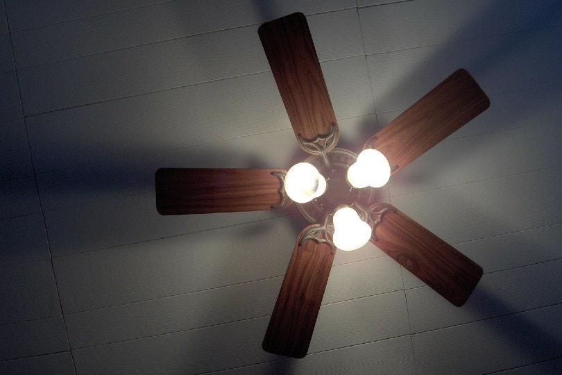 5 Ceiling Fan Trends In 2024 Stylish Ceiling Fans For The Modern Home   Vintage Ceiling Fan 