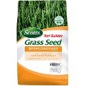 Bermuda Grass