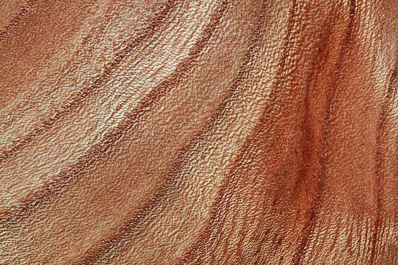 Elm wood