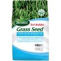 Kentucky Bluegrass