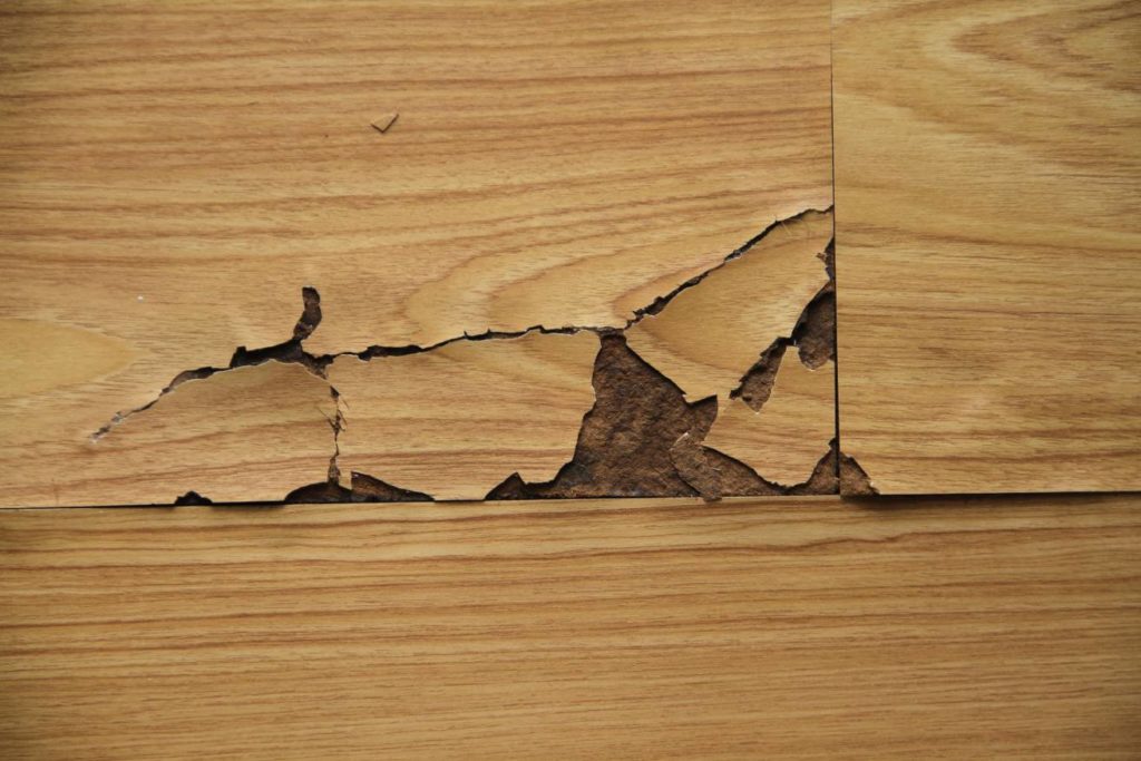 How To Fix Laminate Floor Water Damage, Does Water Damage Laminate Flooring