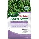 Perennial Ryegrass