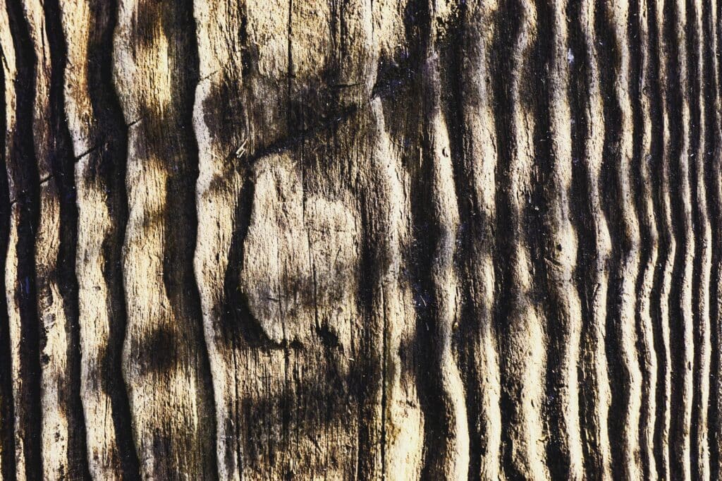 Tigerwood