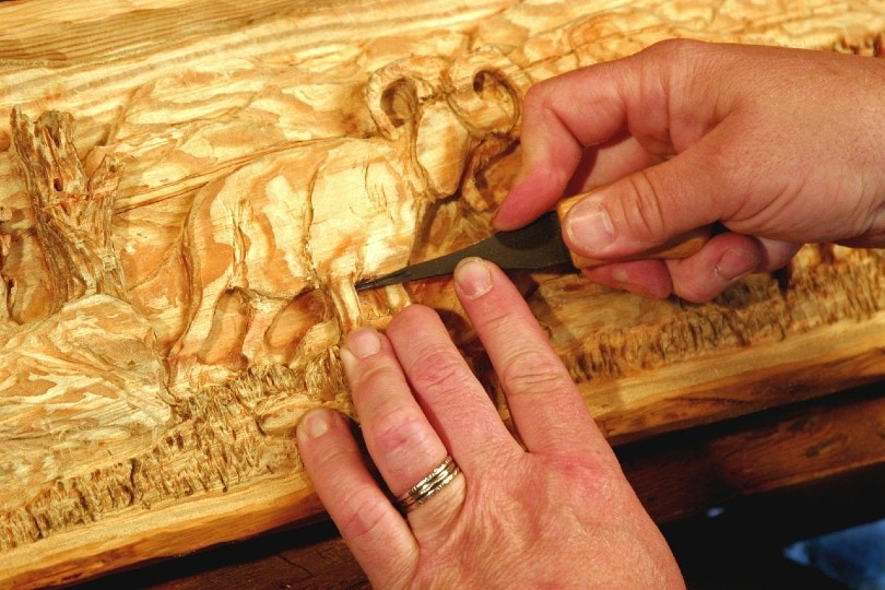 Types of Wood for Carving 