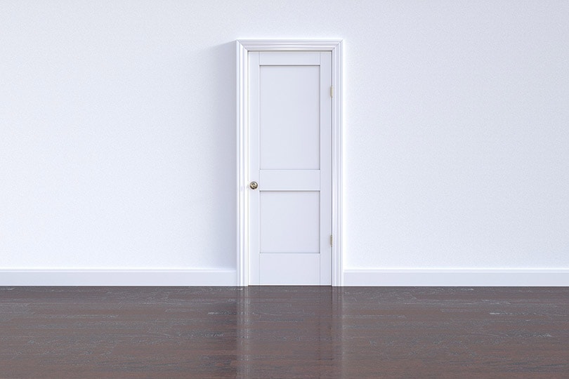 a white door in a hallway