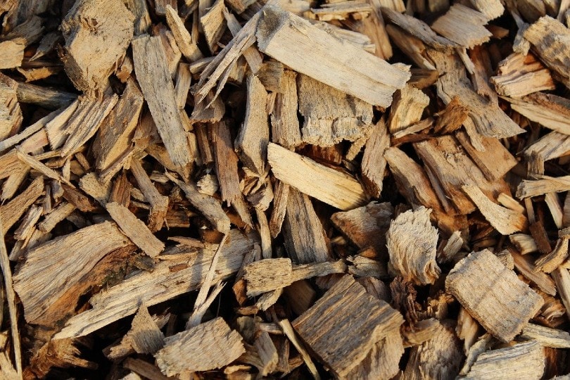 8-different-types-of-wood-mulch-with-pictures-house-grail