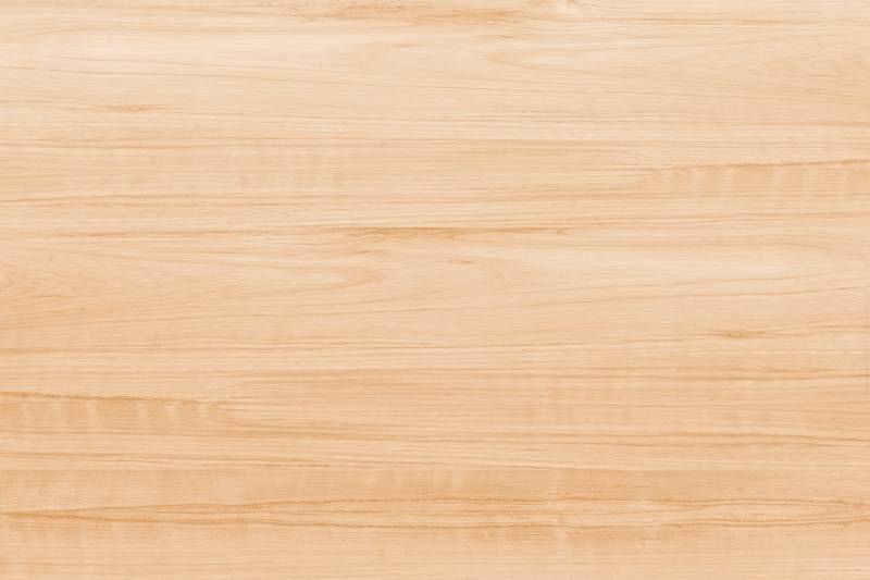 beech hardwood texture