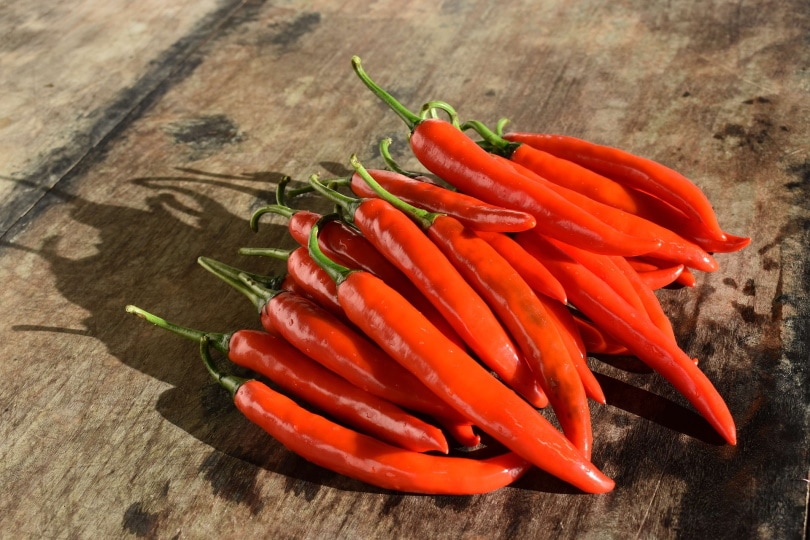 chili