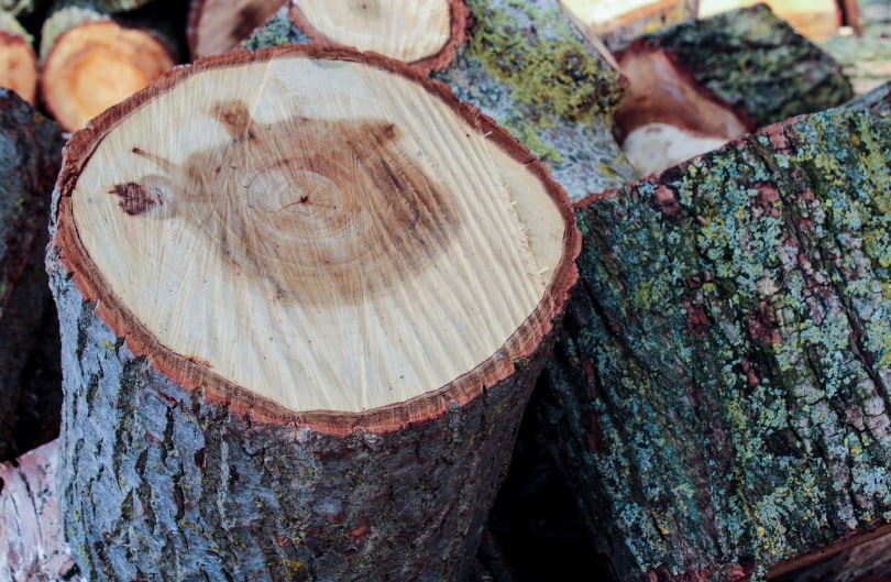 chopped wood