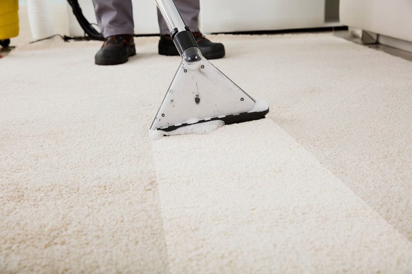 cropped man vacuuming the carpet