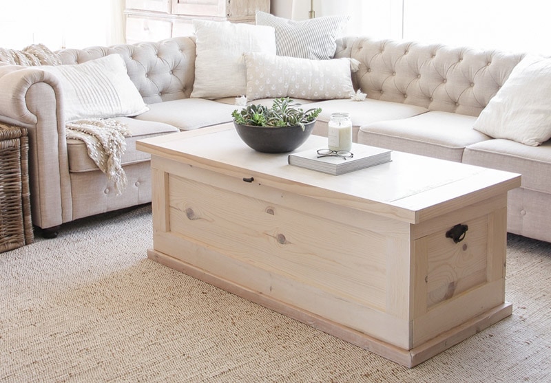diy storage trunk