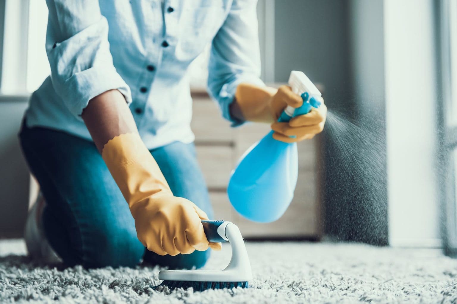 How to Get Cat Poop Stains & Smells Out of a Carpet 4 Practical