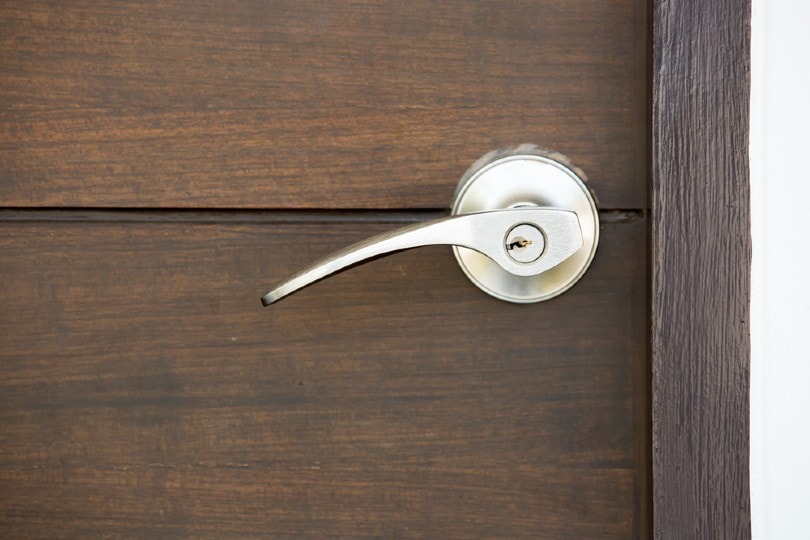 stainless door knob without screws