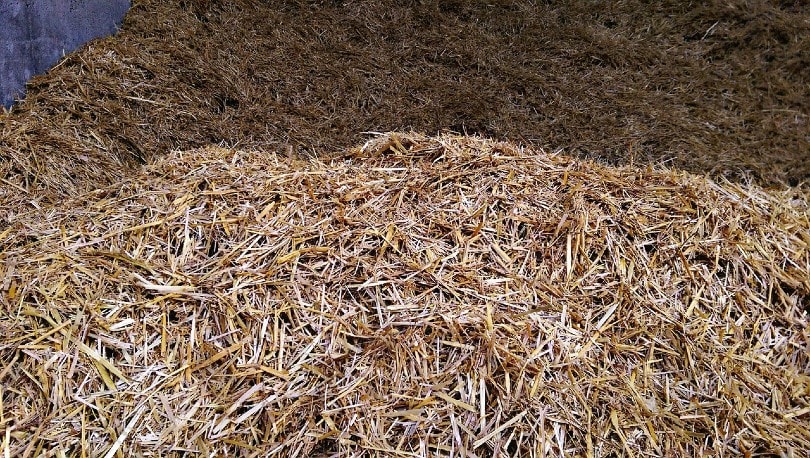straw in a farm