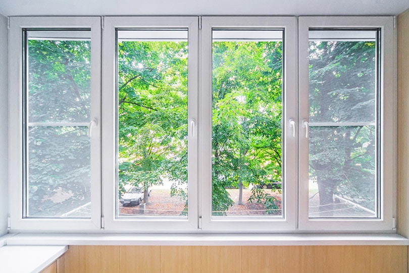 White Fiberglass Windows Sevasaves1 Shutterstock 