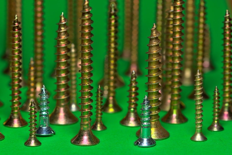 6 Different Types of Wood Screws (With Pictures) House Grail