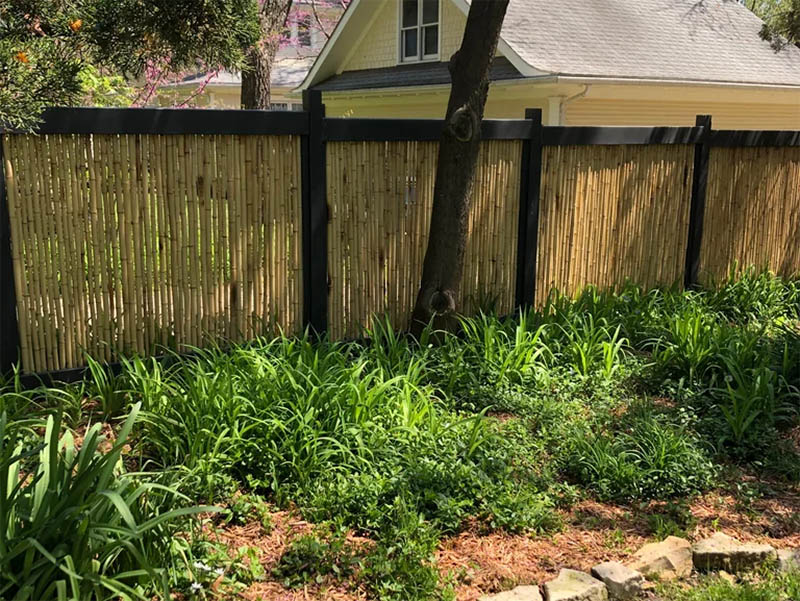 Bamboo Fence