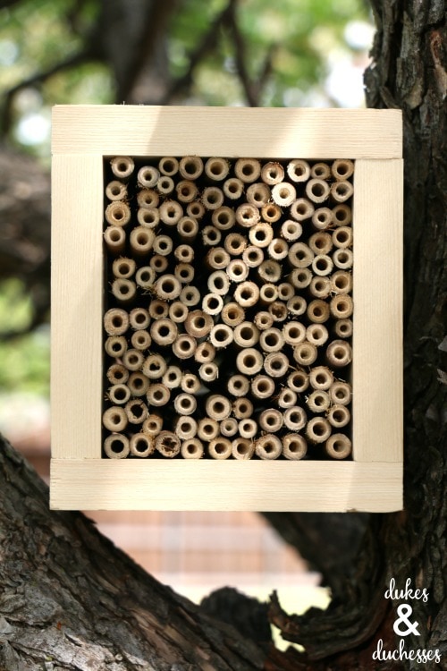 DIY Bamboo Shelf- recommended.tips