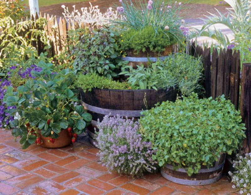 DIY double-barrel herb garden