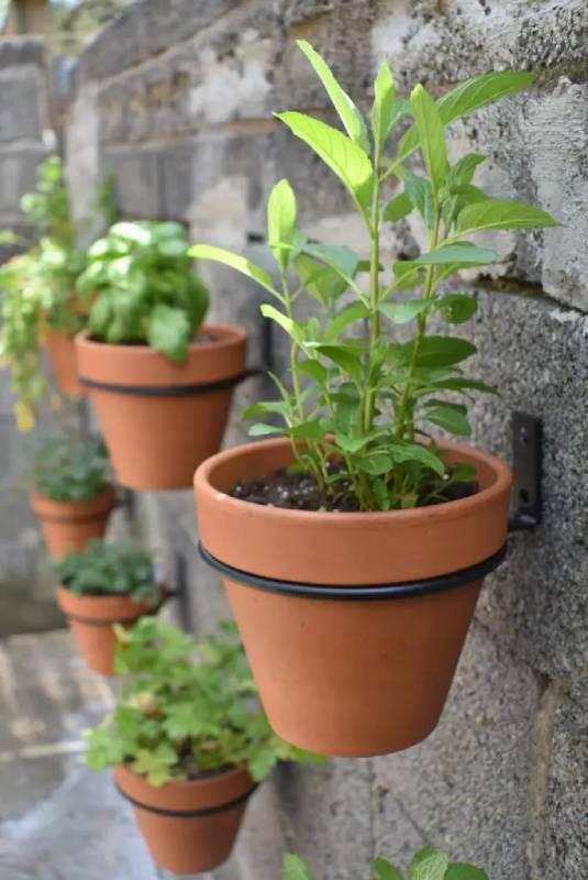 DIY hanging pot herb garden
