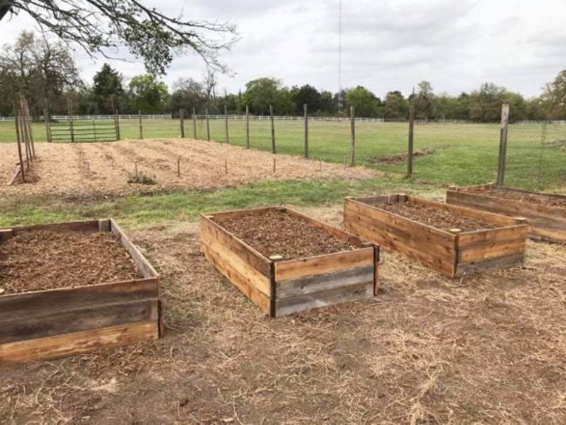 DIY raised garden beds