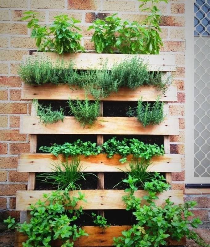 DIY turn a pallet into an herb garden