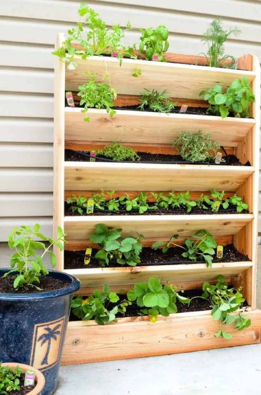 DIY vertical garden with drip watering system