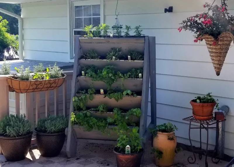 DIY vertical herb garden