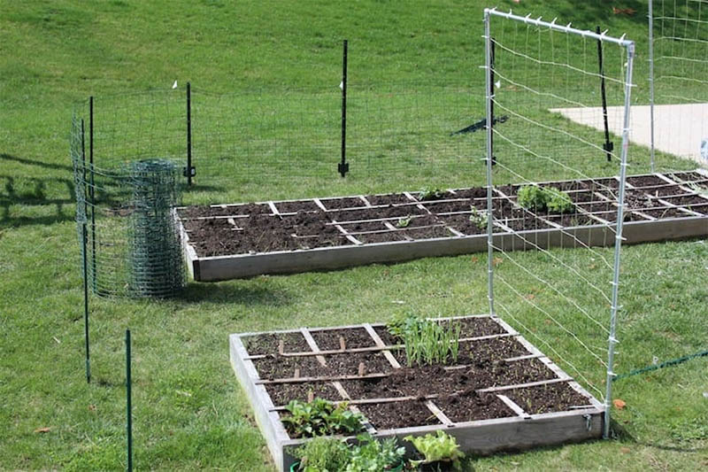 Inexpensive Fence