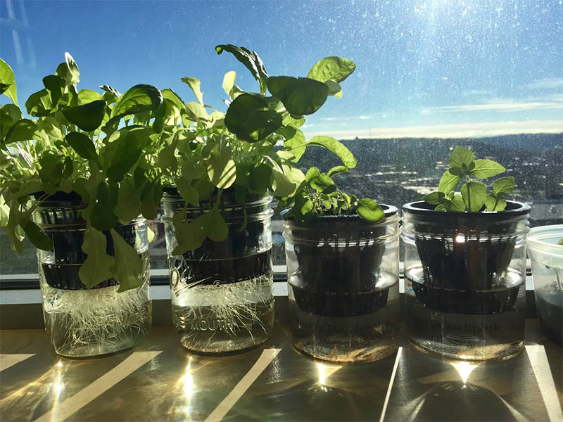 Kratky System