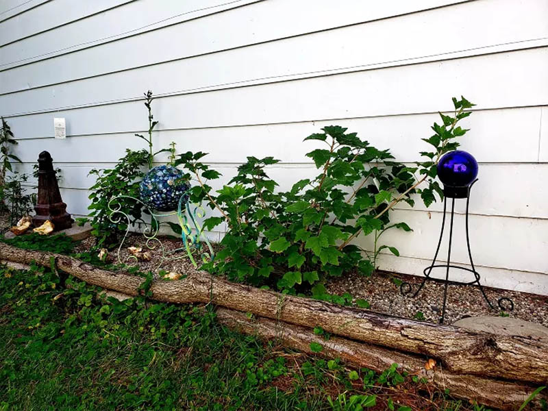 Log Garden Border