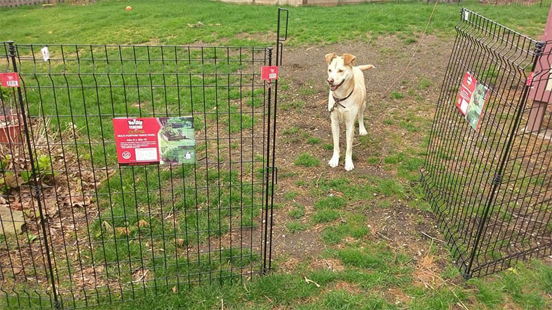 No Dig Fence