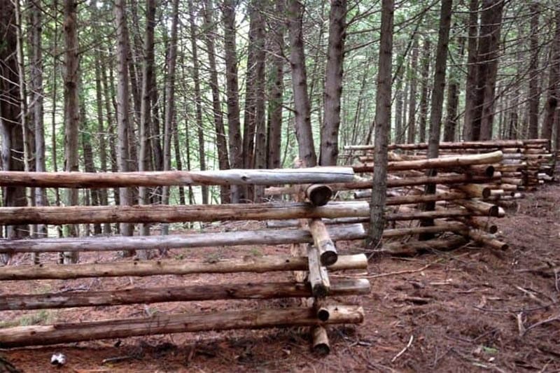 Rail Fence