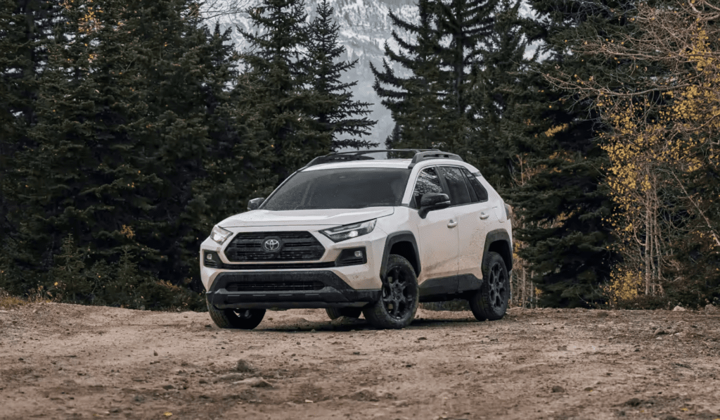 Toyota Rav4 in nature