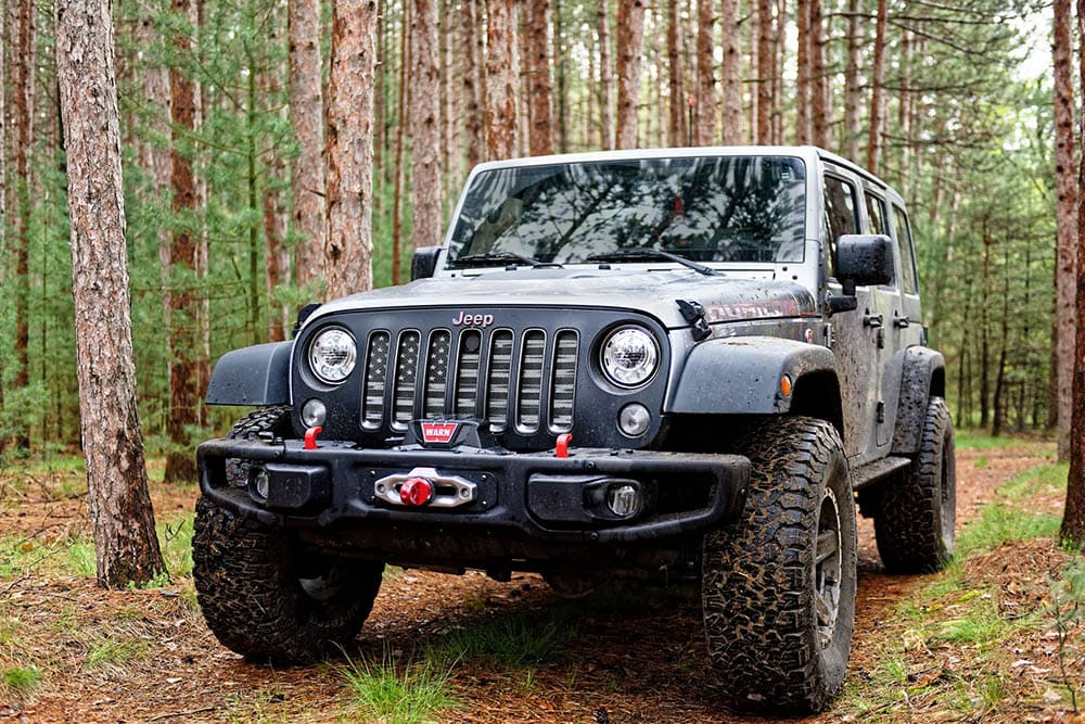 jeep in the midst of the forest