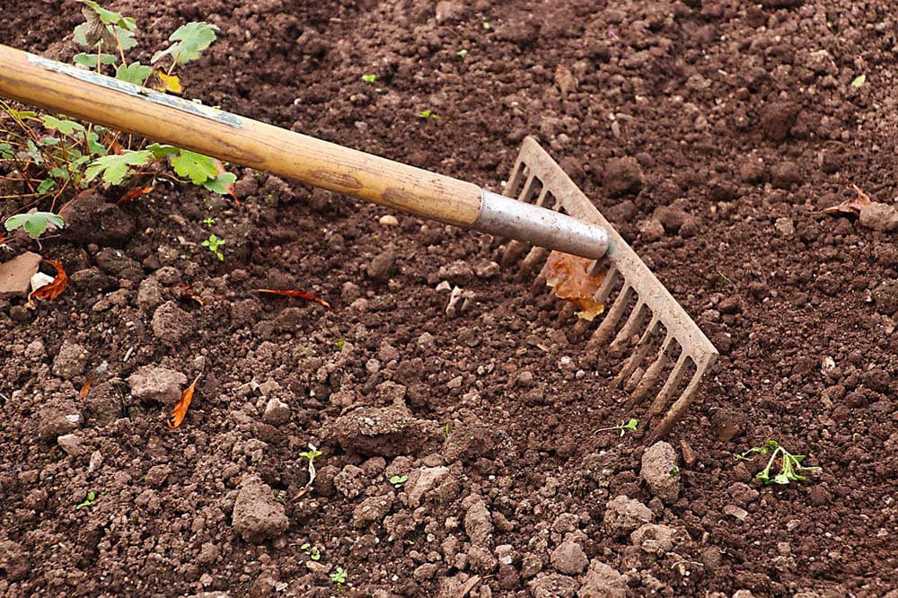 leveling soil with rake