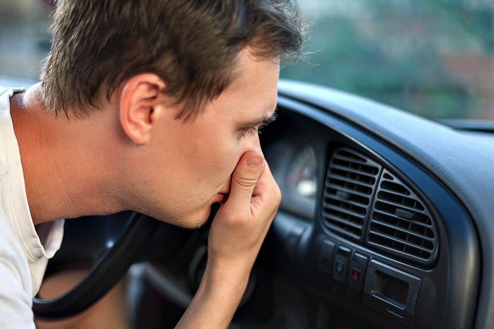 How to Get Mice Smell Out of Car Upholstery and Car Vents in 7 ...