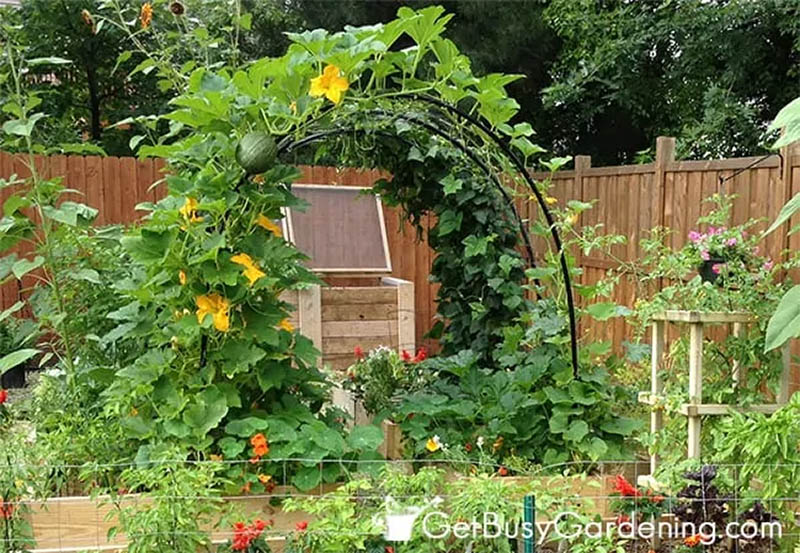 Arched Trellis ­Enchanting Tunnel