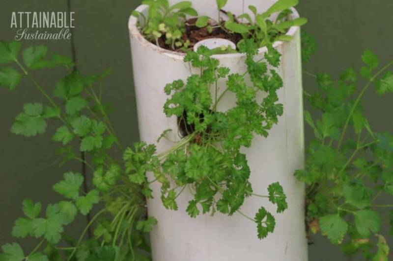 DIY vertical grow tower