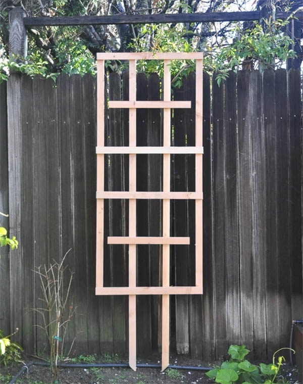 Freestanding Wall Trellis