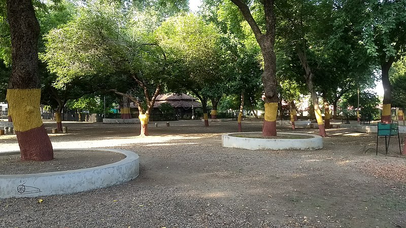 Garden in Seva gram, Wardha, India