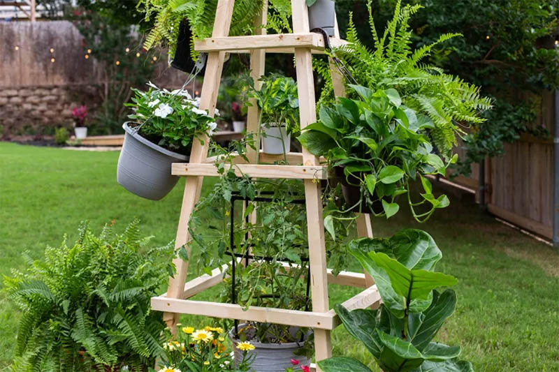 Obelisk Trellis