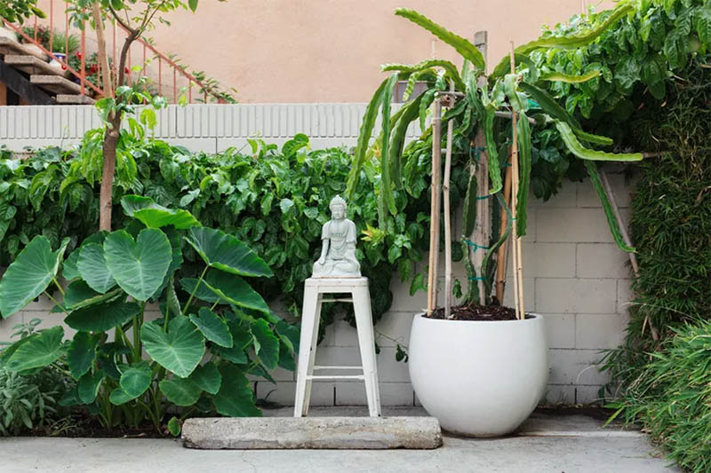 Space-Saving Vertical Trellis