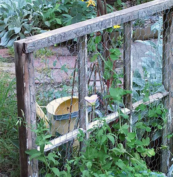 Window Frame Trellis Lined With Chicken Wire