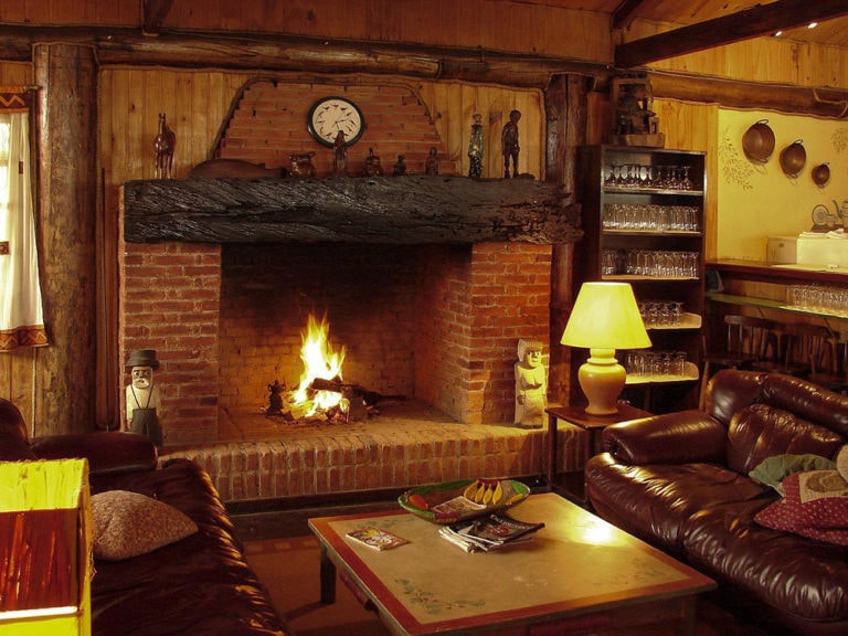 can-you-burn-pine-in-a-fireplace-3-reasons-house-grail