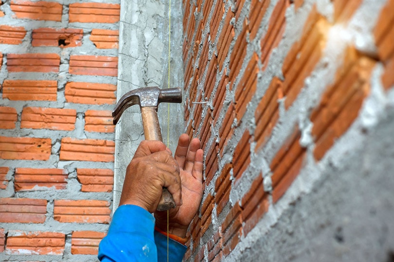 Can You Nail Into Brick? What to Know Before You Try | House Grail