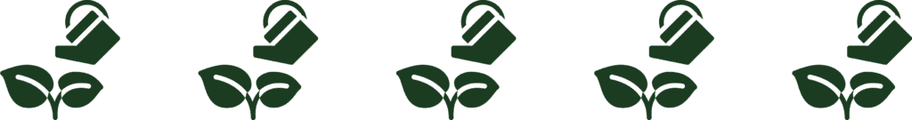 What Is The State Flower Of South Dakota History Uses FAQ House Grail