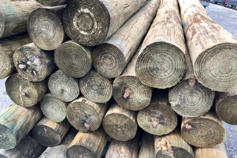 pressure treated log